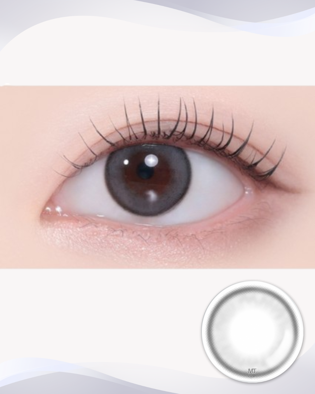 [Myopia] Ashiz Gray 1Day 10P