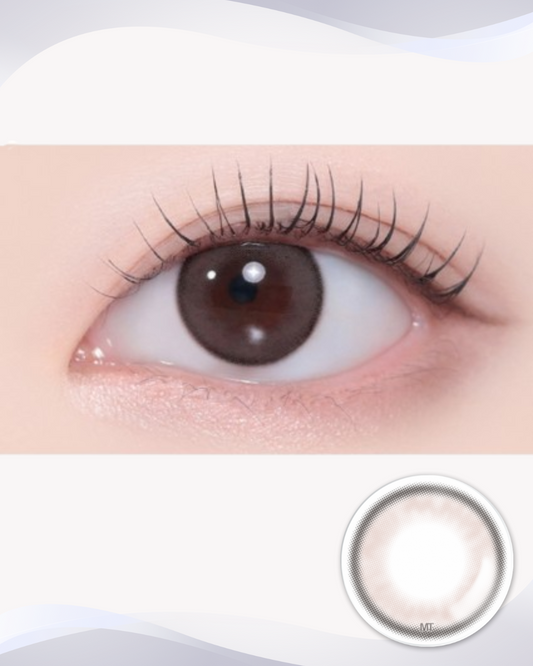 [Myopia] Ashiz Choco 1Day 10P