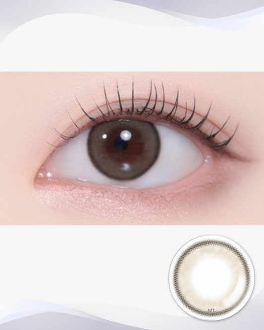 [Myopia] Ashiz Brown 1Day 10P