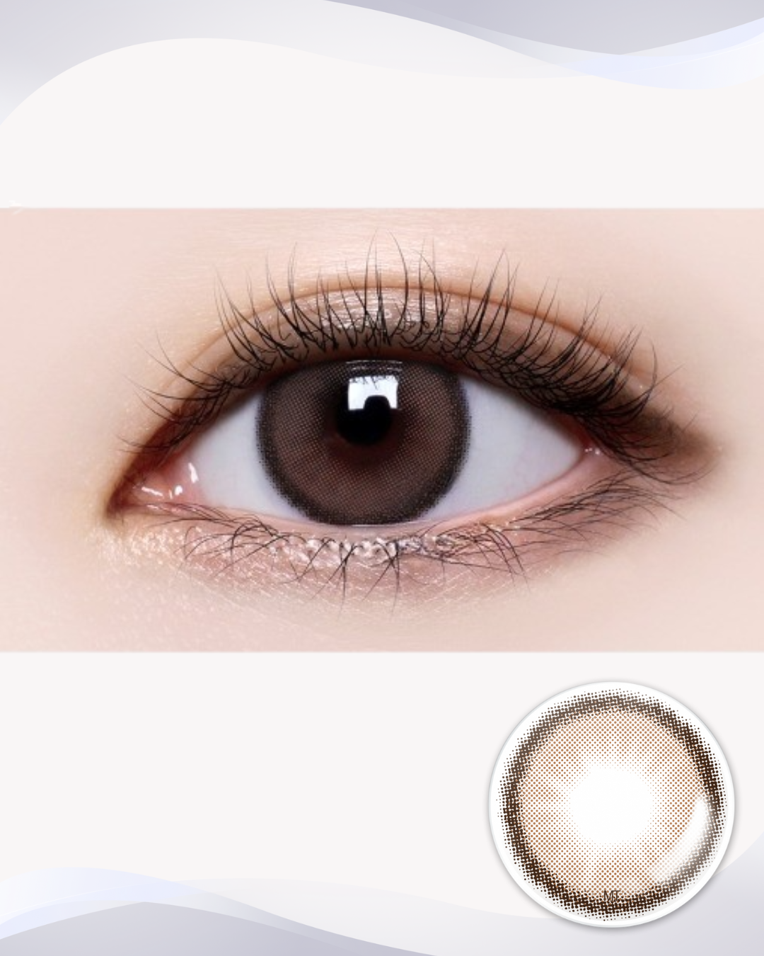 [Toric] Holoris Asianfit Choco