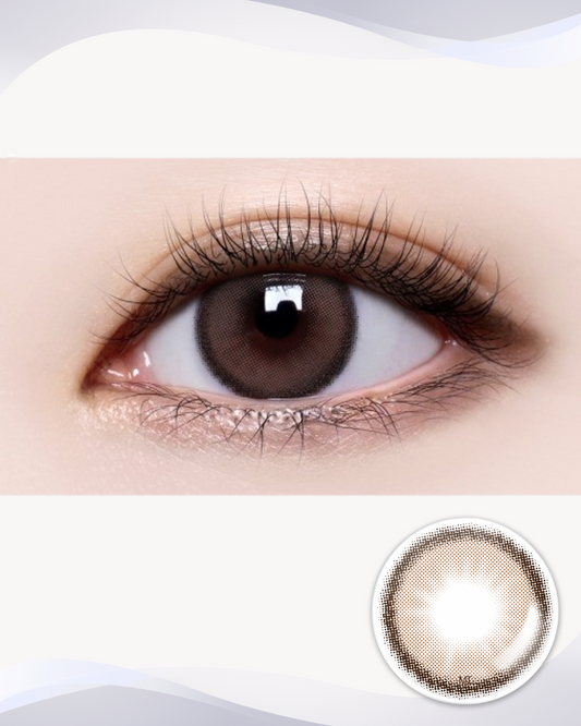 [Toric] Holoris Asianfit Choco
