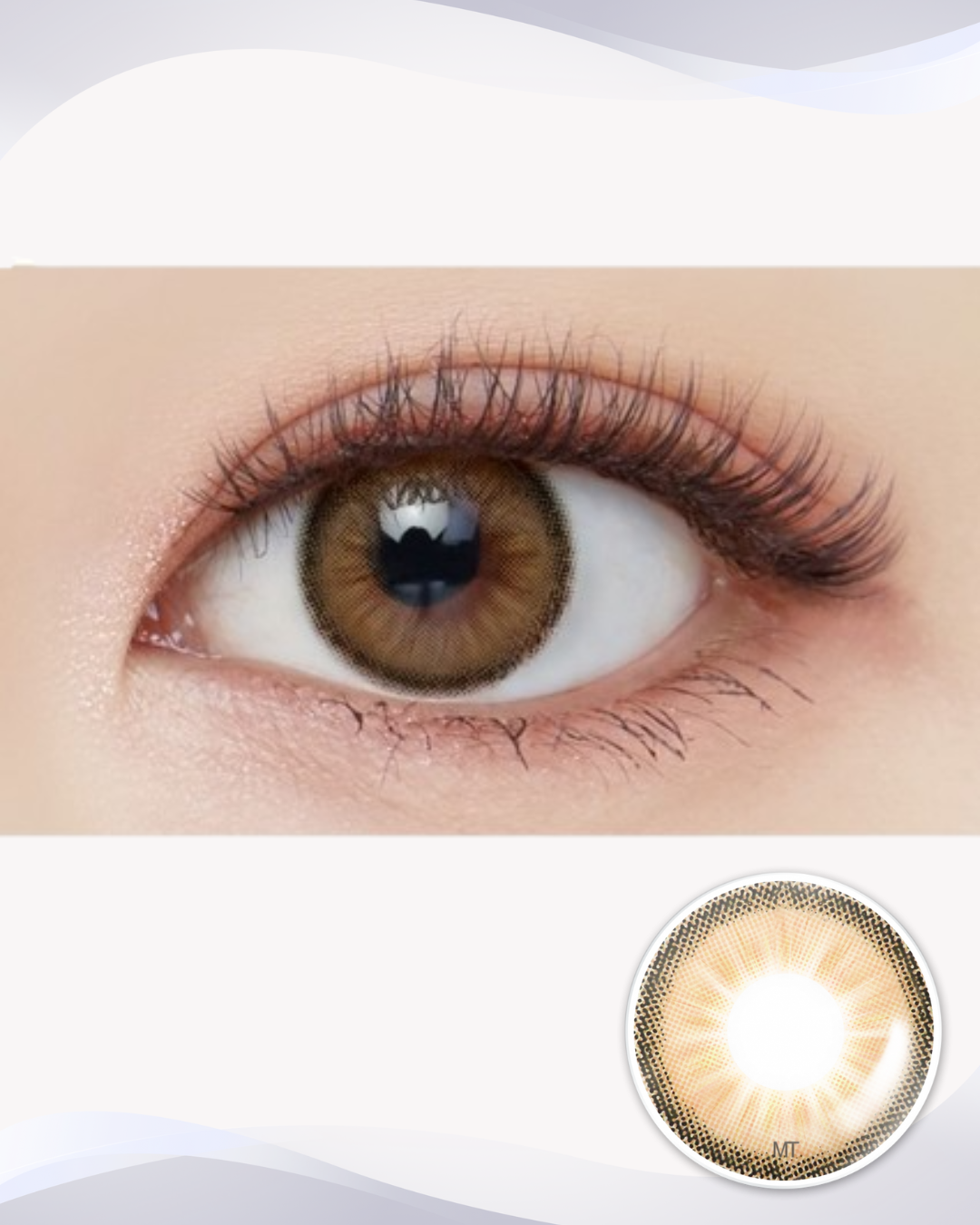 [Toric] Holoris 3 Colors Brown