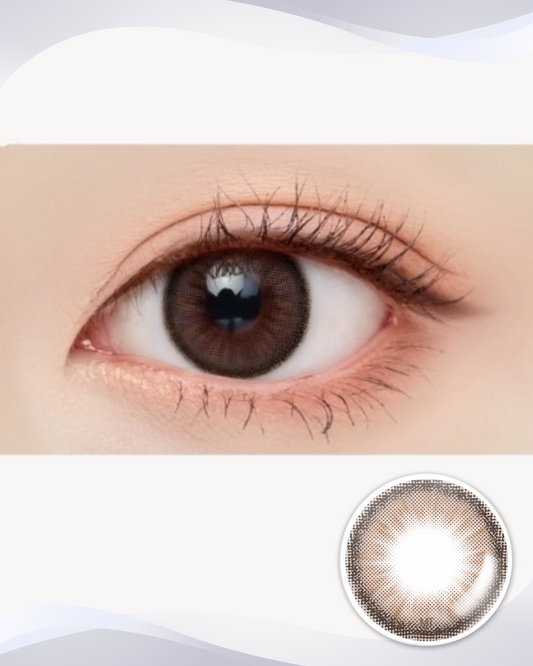 [Toric] Holoris 3 Colors Choco