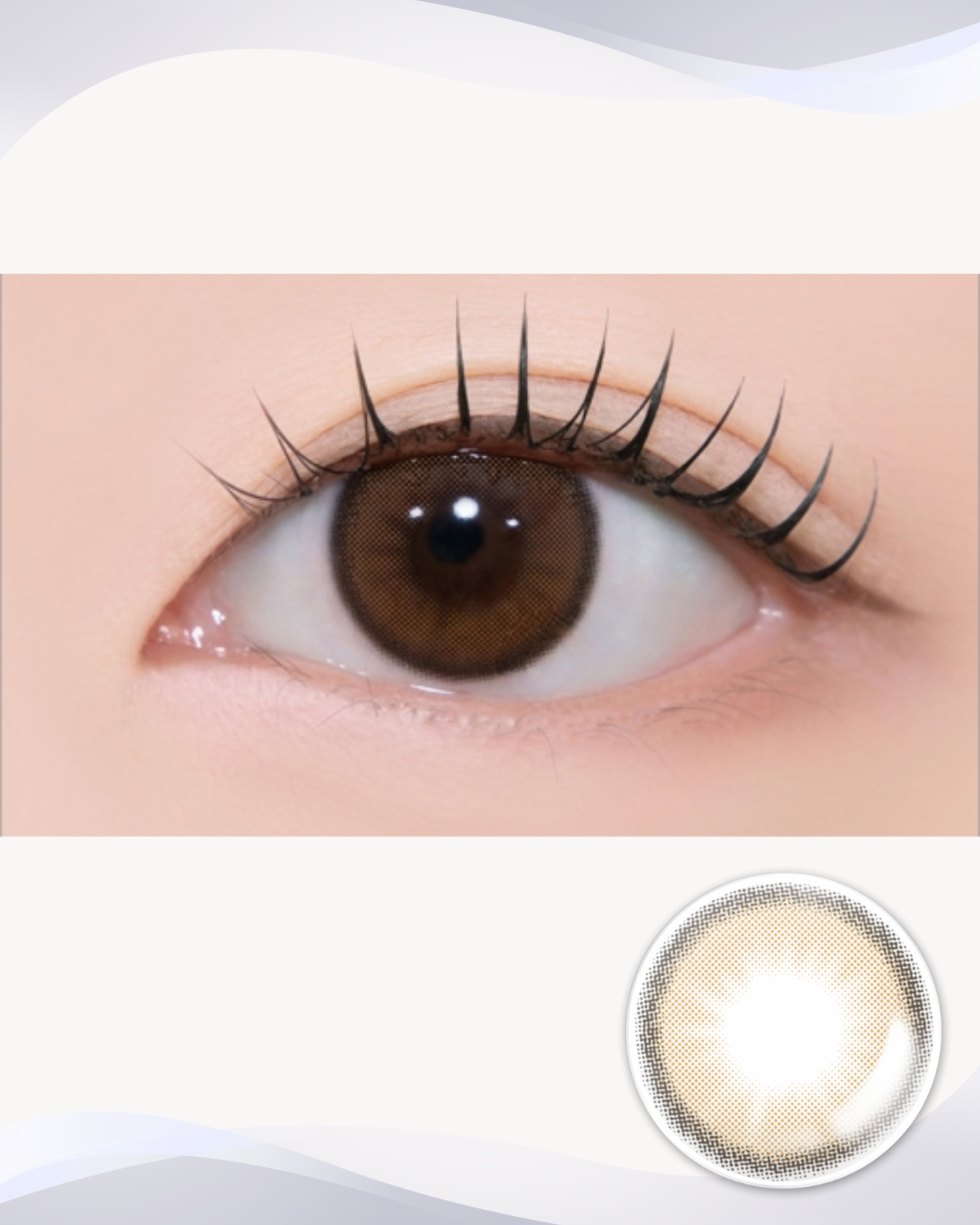 [Myopia] YOUSFIT 1Day Brown 10P