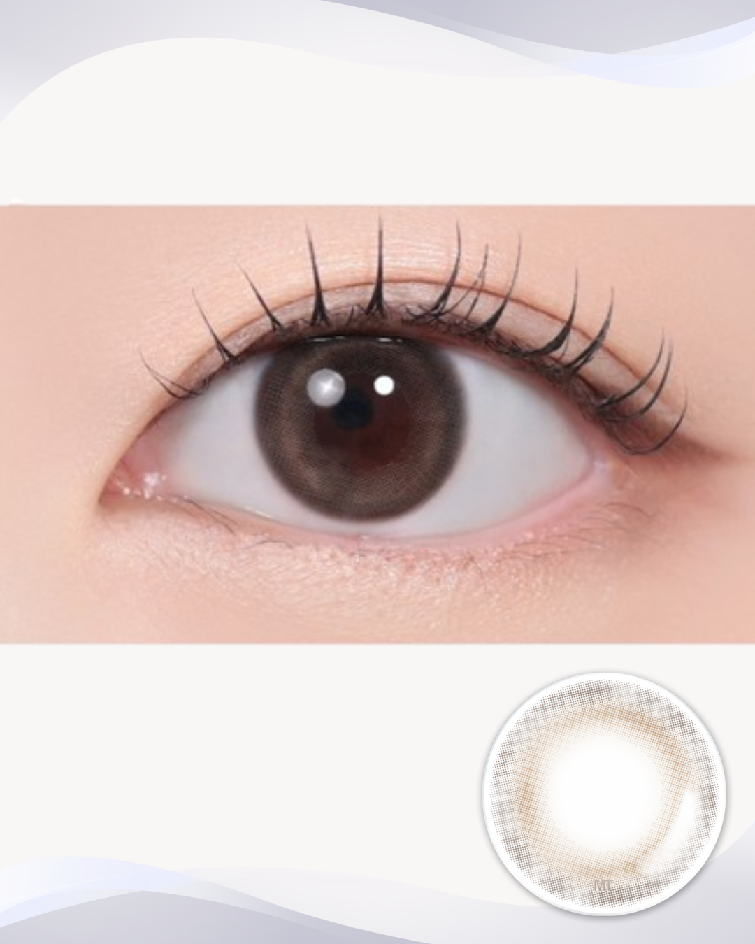 [Myopia] Pandeia Beige 1Day 10P