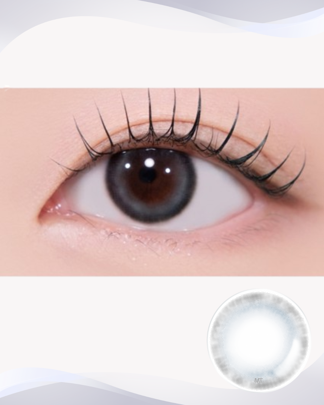 [Myopia] Pandeia Blue 1Day 10P