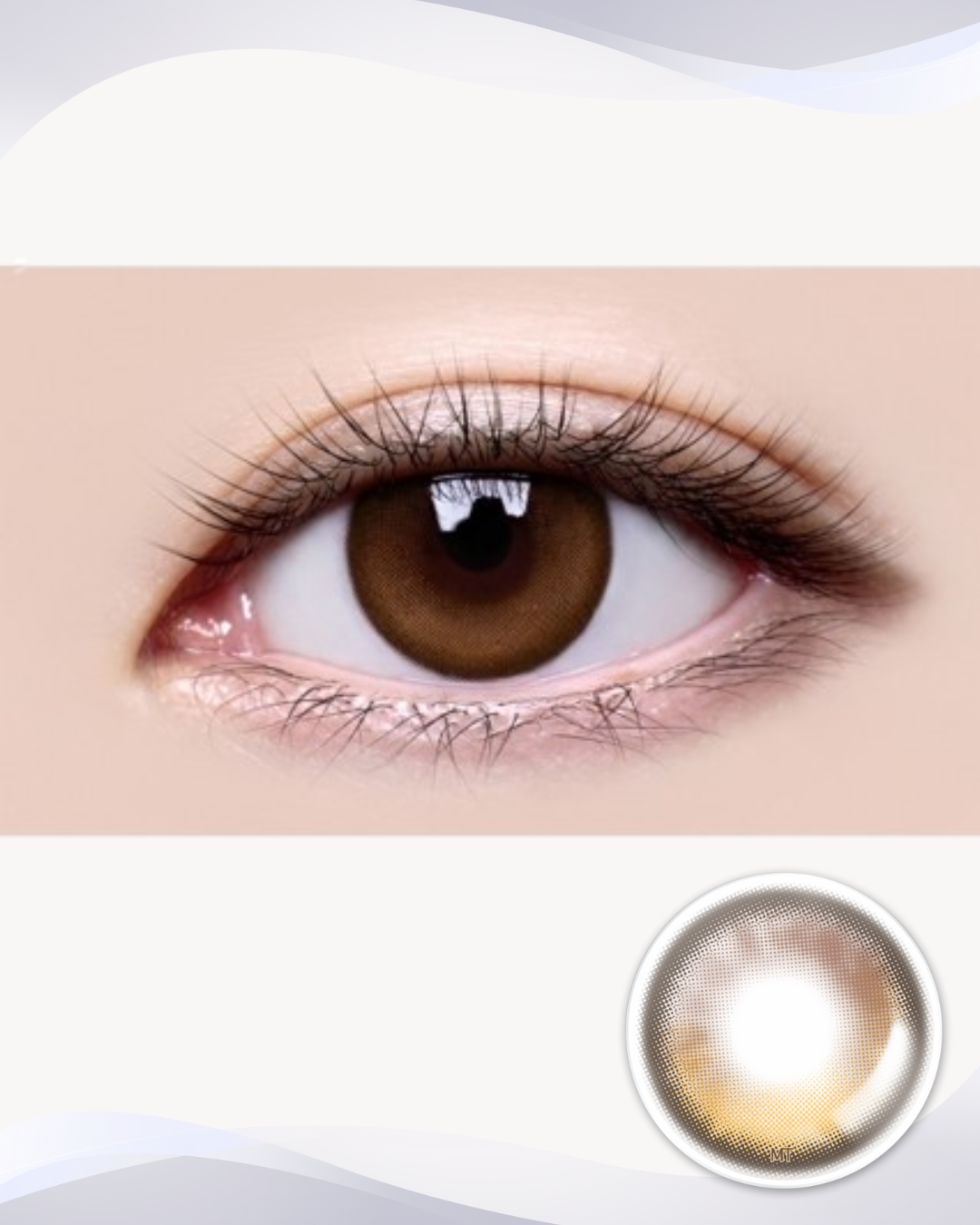 [Toric] Qloring Brown
