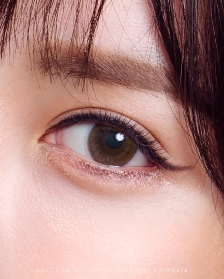 [Toric] BS21 Brown