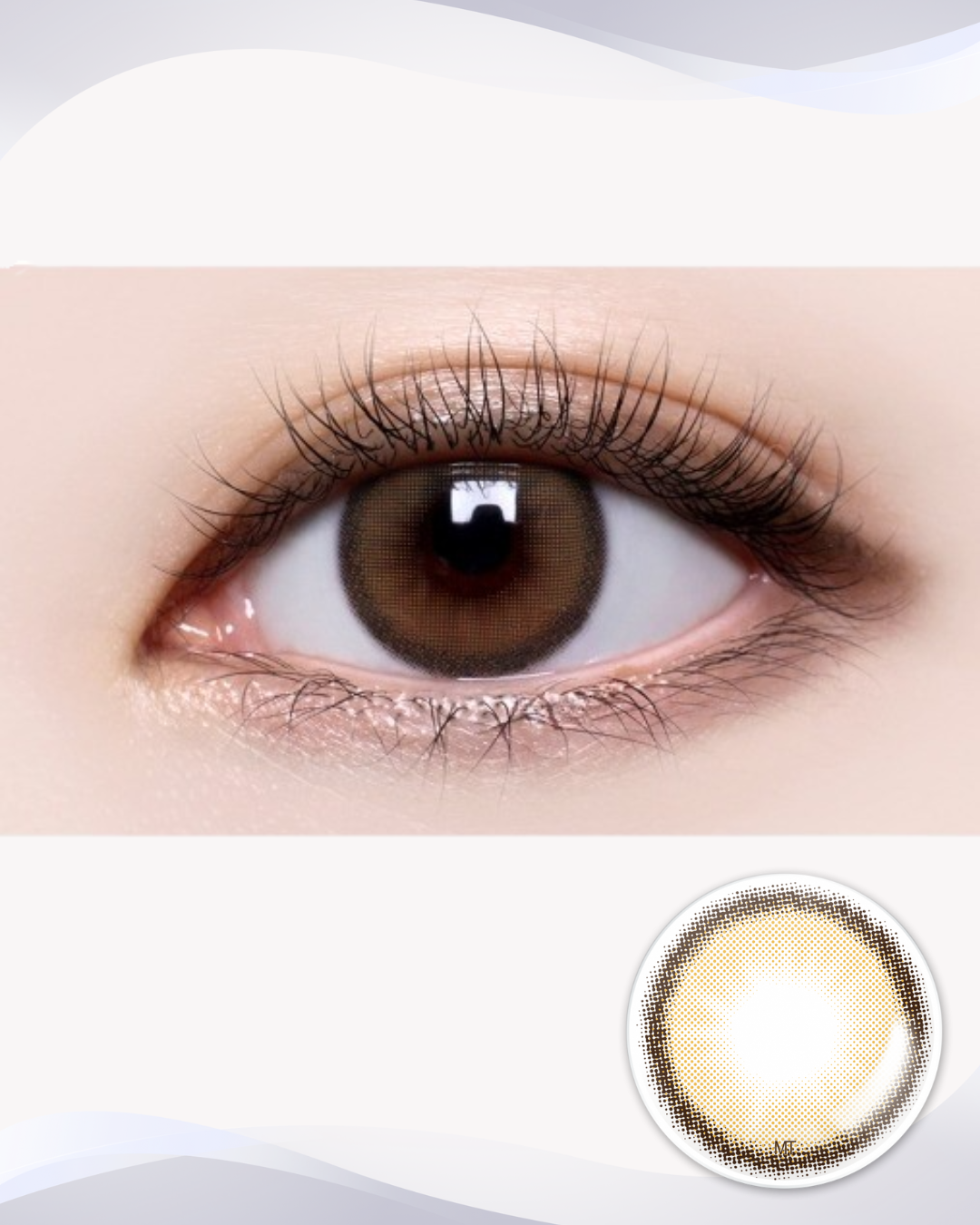 [Toric] Holoris Asianfit Brown