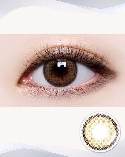 [Toric] Holoris Asianfit Brown