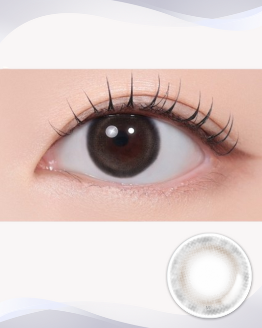 [Myopia] Pandeia Gray 1Day 10P